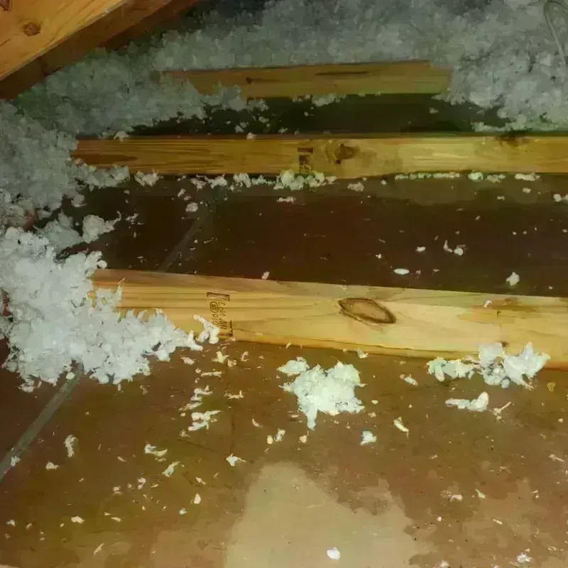 Attic Water Damage in Fenton, MO