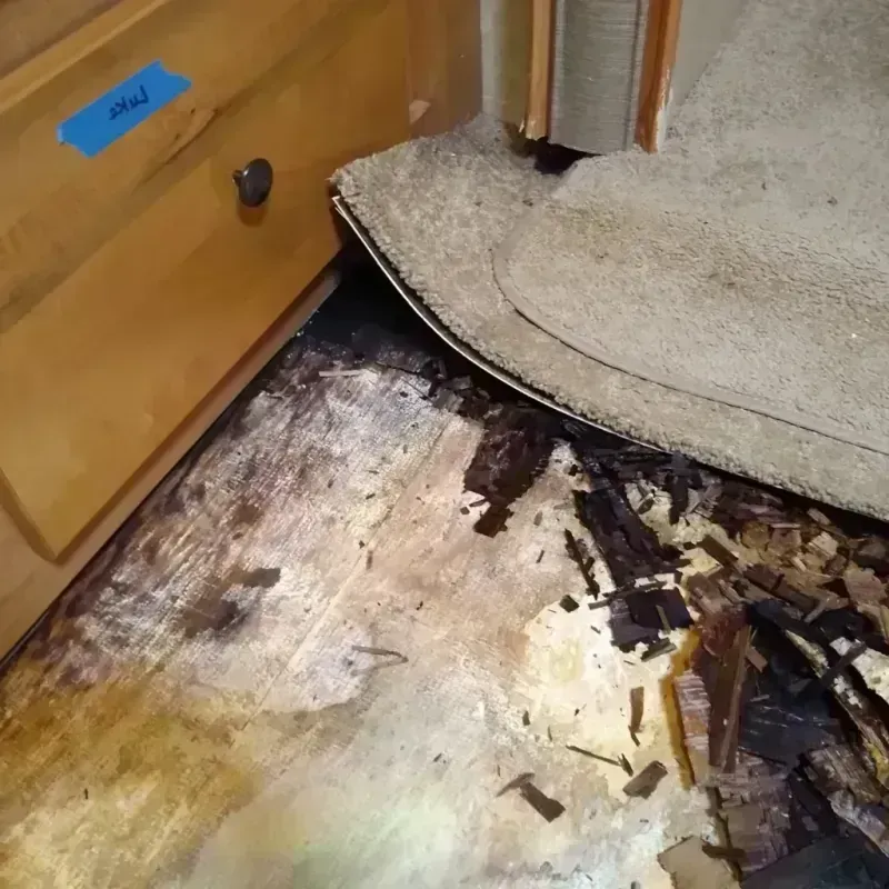 Wood Floor Water Damage in Fenton, MO